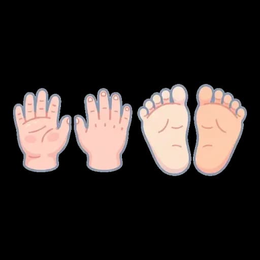 Bàn Tay & Bàn Chân